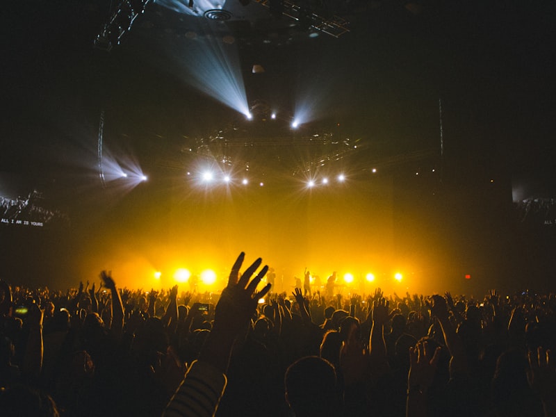 Crowd at a live concert